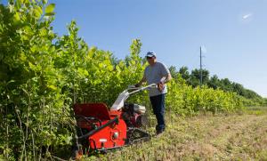 WALK+BEHIND+FLAIL+MOWER+-+31%22+WIDE