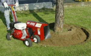 LANDSCAPE+BED+EDGER+-+3%22+BED+ROTOR+-+9HP